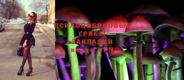 2c-b Баксан