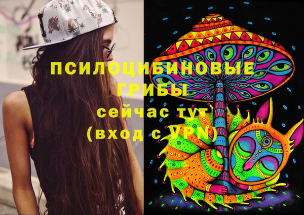 марки lsd Балахна