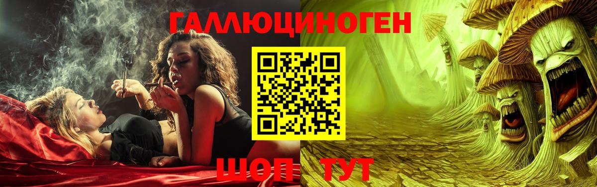 Маркс  Галлюциногенные грибы Psilocybine cubensis  Вход с VPN 