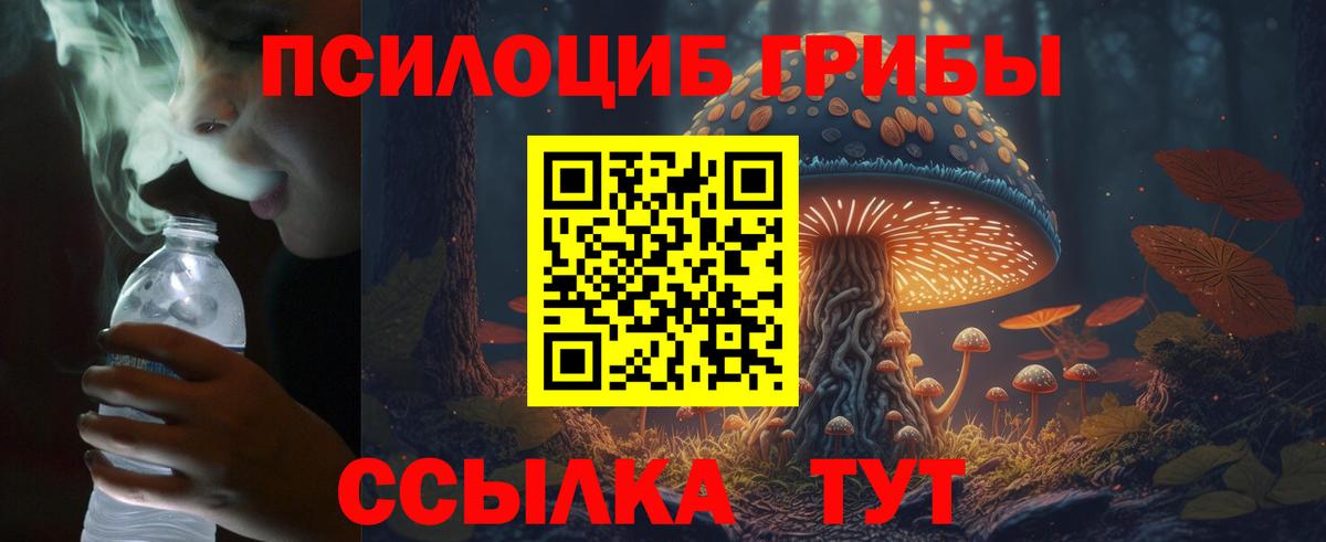 Псилоцибиновые грибы мухоморы Маркс