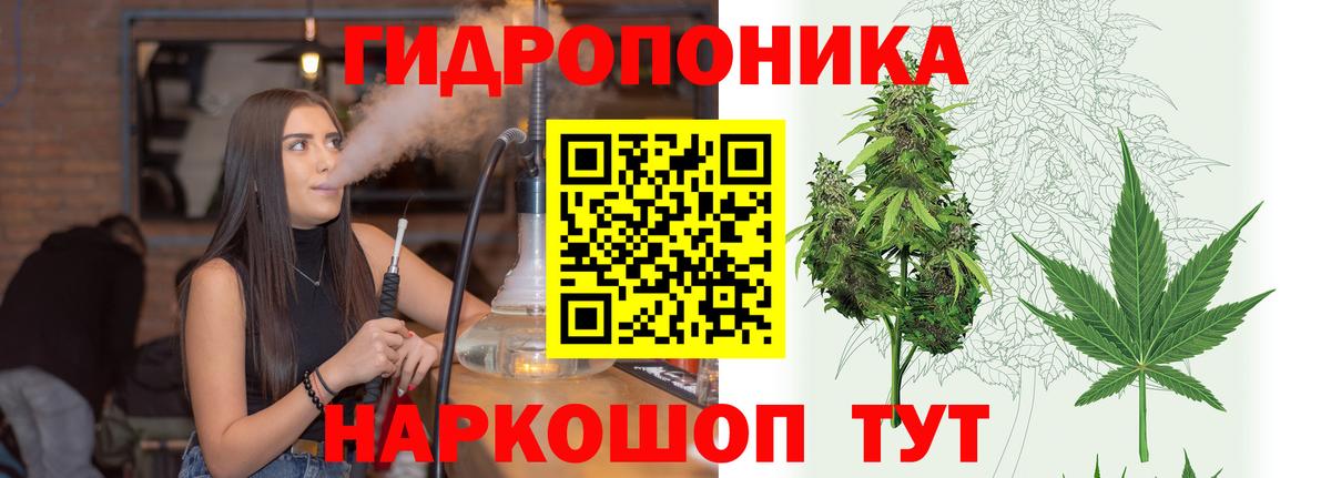 Бошки Шишки сатива  Конопля сатива  Маркс  МАРИХУАНА сатива  Вход с VPN  Конопля VHQ 